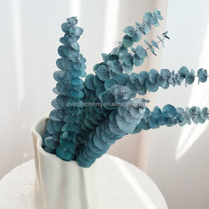 M89 10 Tiges Feuilles d'<span class=keywords><strong>eucalyptus</strong></span> <span class=keywords><strong>séchées</strong></span> <span class=keywords><strong>Fleurs</strong></span> conservées Feuilles d'<span class=keywords><strong>eucalyptus</strong></span> <span class=keywords><strong>Bouquet</strong></span> Décor floral Fleur immortelle pour mariage Design - Product Image 4