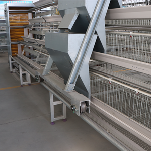 Nuovo Sistema Automatico di Gabbie per Galline Ovaiole <span class=keywords><strong>2026</strong></span> per Allevamenti di Polli in Tanzania - Product Image 6