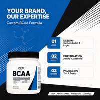 L-Glutamine sans sucre pour adultes, boisson de récupération musculaire après l'entraînement, acides aminés, 10-19g de protéines, poudre de BCAA, 540g, HALAL, OEM