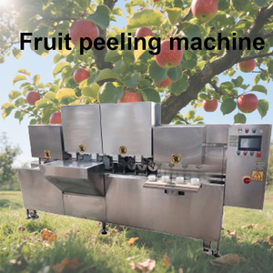 Nouvelle conception, machine à éplucher et à dénoyauter les pommes de haute performance pour la vente en gros - Product Image 4