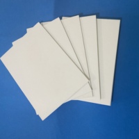 Prix Économique Désodorisant Voiture Suspendu en Feutre de Sublimation Format A4 (30*21cm) Vierge (Non Découpé)