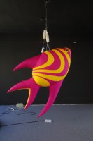 Publicité promotionnelle : Modèles gonflables de poissons tropicaux, avec une ambiance océanique et des accessoires décoratifs spécifiques au thème.