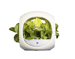 Home garden grow kit grow system hydroponics home hydroponic systems for growing plants