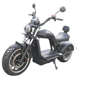 HL6.0 Amoto electric scooters citycoco motorcycle chopper style 25km/h 45km/h with COC