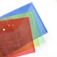 Carpeta de Archivo Transparente Impermeable de PVC Personalizada, Bolsa para Documentos Multicolor para la Escuela y la Oficina