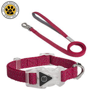 Collar de perro LED SinSky, luces brillantes personalizadas, seguridad nocturna, caminar, personalizado, impermeable, luz intermitente, Collar de perro reflectante - Product Image 5