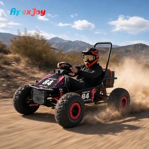 ApexJoy StormRider-1000W Vélo Électrique Adulte 48V 20Ah Plomb-Acide 40km/h Charge 150KG Double Suspension A-Arm Freins à Disque Hydrauliques Moteur Haute Puissance 1000W - Product Image 1