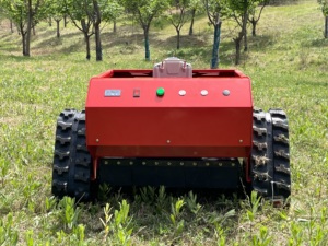 <span class=keywords><strong>Tondeuse</strong></span> à gazon multifonctionnelle à télécommande avec démarrage électrique pour le jardin avec chasse-neige - Product Image 2