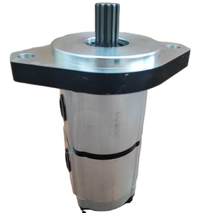 Pompe à double engrenage -v 80910417 en stock - Product Image 1