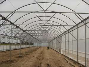 Invernadero Agrícola con Estructura Metálica, Invernadero Tropical para Horticultura, Precio - Product Image 3