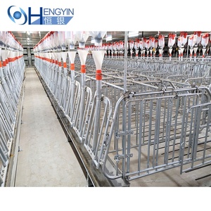 En iyi satış dayanıklı domuz tarım kafes genel galvanizli domuz gestation kafes - Product Image 4
