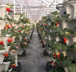 Farming Outdoor Aeroponics Tower Systems Garden Agricultural Soilless Culture Vertical Hydroponic Growing Tower Flower/Vegetable