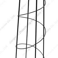 Support de plante en métal en spirale oblisque Cage à tomates en acier piquet de plante de jardin pour légumes fleurs fruits Rose vigne plante grimpante