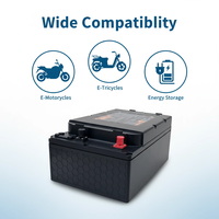 Batería de Fosfato de Hierro y Litio de 60V 50Ah LiFePO4 con BMS Inteligente Integrado, Salida Estable, Recargable para Bicicletas Eléctricas y Desplazamientos