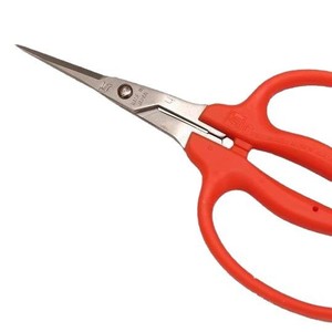 กรรไกรตัดผลไม้ Chikamasa Toucan B-500SL สแตนเลส สำหรับมือขวา แบบใช้มือ  สำหรับเก็บเกี่ยวผลผลิต - Product Image 1