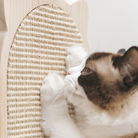 Nouvelle planche à gratter pour chat en sisal, jouet pour chat, tapis à gratter, matériaux naturels sûrs, petite et grande taille, accessoires pour chat