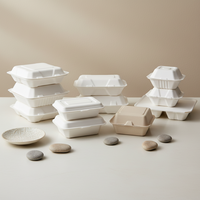 Contenants d'emballage pour repas en forme de coquille de palourde de l'usine YANGRUI, résistants à l'huile, en canne à sucre moulée, boîtes alimentaires en papier à emporter