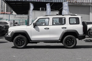 2026 New Tank 300 2.0T 227Ps L4 F-AWD Gasoline Cars 5-<b>door</b> 5-seater SUV Large Space Petrol Cars for Sale - Product Image 5