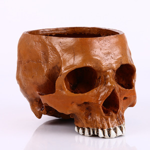Adornos de <span class=keywords><strong>maceta</strong></span> de <span class=keywords><strong>calavera</strong></span> SKF09, nueva <span class=keywords><strong>maceta</strong></span> de <span class=keywords><strong>calavera</strong></span> de resina para decoración del hogar, artesanías de <span class=keywords><strong>calavera</strong></span> de cabeza humana hechas a mano - Product Image 5