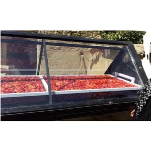 <span class=keywords><strong>Four</strong></span> de séchage compact à énergie <span class=keywords><strong>solaire</strong></span> pour les fruits de mer - Product Image 2