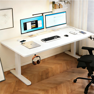 Meja Kerja Elektrik Ergonomis yang Dapat Disesuaikan Tingginya 55x24 inci dengan Baki Pengatur Kabel untuk Kantor Rumah - Product Image 1