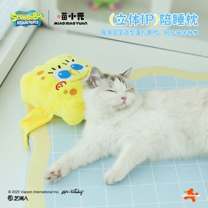 Tapis rafraîchissant pour chat et chien, collaboration Bob l'éponge de Miao Xiaoyuan, tapis en éponge rafraîchissant pour l'été, pour chat et chien - Product Image 5