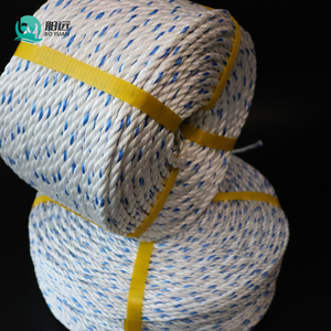 <span class=keywords><strong>Cordage</strong></span> <span class=keywords><strong>marin</strong></span> en polypropylène haute résistance, torsadé à 3 brins, 6mm-12mm, en PP, PE, Nylon, bleu, vert, corde de pêche en polypropylène, corde Danline - Product Image 2