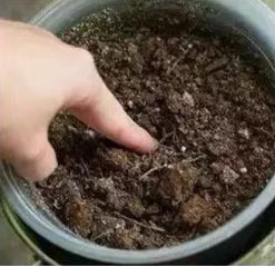 Mini <span class=keywords><strong>Molino</strong></span> de Martillos Portátil con Motor Diésel, Trituradora Móvil a Pequeña Escala para Carbón, Vidrio, Oro, Roca, Precio de Máquina Trituradora de Piedra - Product Image 5