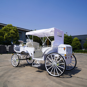 Calèche électrique blanche avec auvent et quatre roues pour usage extérieur, sortie familiale - Product Image 6