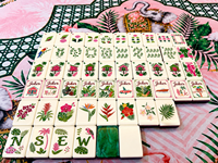 Jeu de Mahjong Américain Tropical en Gros Prêt à Expédier, 160 Tuiles Brillantes avec Supports Roses, Carte des Règles et Sac Cadeau Inclus