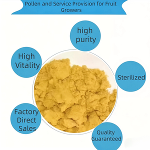 Vendita di Fabbrica Polvere di Pectina di Mela Naturale Biologica Estratto di Mela di Alta Qualità Miglior Prezzo Gratuito - Product Image 6