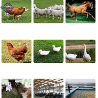 Hacheuse de fourrage électrique pour animaux (vaches, moutons) – Riz, blé, paille, herbe, maïs, ensilage – Coupe-paille pour aliments animaux