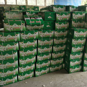 来自中国的新鲜大蒜批发价 - Product Image 1