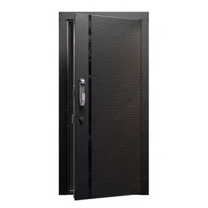 Style simple moderne personnalisé <span class=keywords><strong>beau</strong></span> <span class=keywords><strong>roman</strong></span> sens avancé sécurité populaire haute qualité en acier porte hors axe - Product Image 2