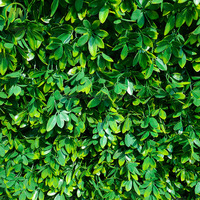 Décoration extérieure personnalisée plante artificielle mur de gazon PE haute simulation vert mur de gazon artificiel pour clôture de jardin