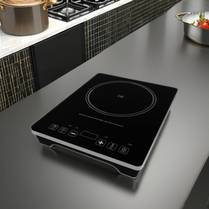 DC 24V-48V <span class=keywords><strong>Solaire</strong></span> Photovoltaïque Réel Puissance Cuisinière À Induction En Acier Inoxydable Source Électrique pour La <span class=keywords><strong>Cuisson</strong></span> <span class=keywords><strong>Solaire</strong></span> - Product Image 2