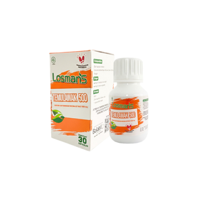 Losmans Temulawak utiliza extracto de rizoma de Curcuma Xanthorrhizae para proporcionar beneficios naturales antiinflamatorios y antioxidantes. - Product Image 2