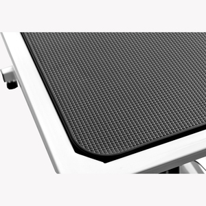 PetFit <span class=keywords><strong>Prix</strong></span> de gros Table de beauté pour chien Salon de toilettage professionnel Table de toilettage pour animaux de compagnie élévatrice électrique Bureau antidérapant - Product Image 6