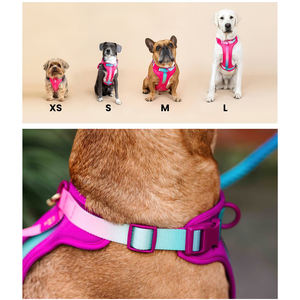 小型中型大型犬用,デザイナーペット犬用ハーネス通気性ポリエステル耐久性のあるファッション犬用ベスト - Product Image 3