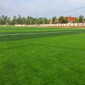 Aji 자연 축구 조경 웨딩 바닥 플라스틱 잔디 정원 가격 카펫 합성 잔디 축구장 인공 잔디