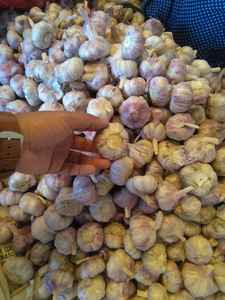 Ajo fresco y seco de Vietnam, venta al por mayor, vacaciones - Product Image 5