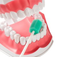 Bâton éponge de massage oral Discours outils d'entraînement musculaire oral Brosse tactile pour enfants Soins bucco-dentaires uniques