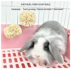 <span class=keywords><strong>Bunny</strong></span> çiğnemek oyuncaklar diş taşlama tavşan ahşap Scratch kurulu ayak pedi platformu küçük hayvanlar oyun oyuncak kobay Hamsters evcil - Product Image 4