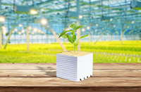 SANYIBA cubes de laine de roche de jardin hydroponique intérieur de 6 pouces pour la plantation de cultures en intérieur