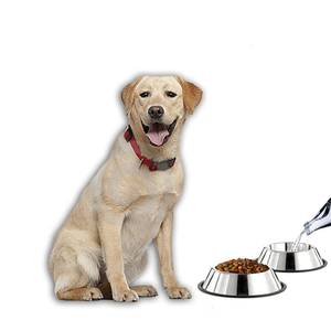 Tazón de Acero Inoxidable para Perros, Artículos para Mascotas, Tazón para Mascotas Reforzado, Fácil de Limpiar, Recipiente para Mascotas de Acero Inoxidable - Product Image 4