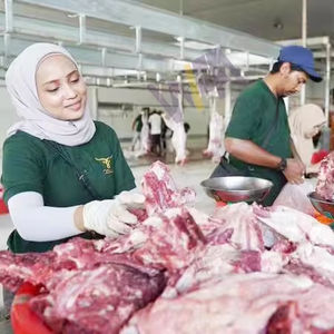 Equipo de Matadero para Ganado Vacuno, Máquina de Sacrificio para Toros y Bovinos - Product Image 3