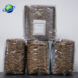 Logo personnalisé Compost en plastique à grains épais stérilisé Huître Champignon Spawn Sac de culture Substrat Culture Filtre Sacs de culture - Product Image 5