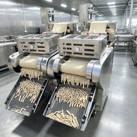 Machine automatique de fabrication de snacks de riz 1000 kg/h, ligne de production de bâtonnets de pâte frite avec matrices de découpe personnalisées, conception en acier inoxydable