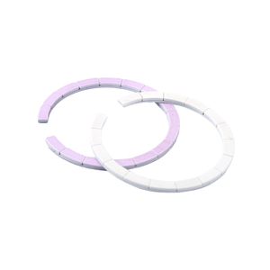 N52H mıknatıs dizi Magsafe halka etiket magsaf halka mıknatıslar tedarikçisi - Product Image 1