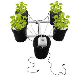 20 Liter Farming Hot Sale Anbaus ystem DWC Bucket Hydro ponic Plant